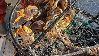 Humboldt Crab Fishing