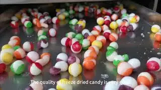 FD series Freeze Dry Candy Machine, Freeze-dried Candy Equipment, Candy Industrial Big Freeze Dryer