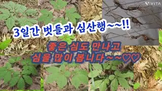3일간 벗들과 심산행 좋은심도 보고 심을 많이 만났네요~♡♡
