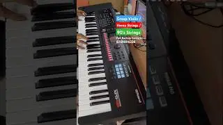 Group Violin | Veena Strings | 90's Strings | XPS-60