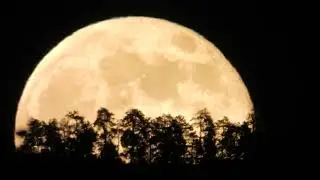 Perigee Full Moon shot on 11/05/25 Perigee is when the full moon is at its closest position to earth