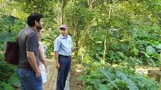 Visit Cuc Phuong Endangered Primate Rescue Centre - Hanoi Tours