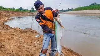 IKAN LAIS PURBA BESAR BANGET 😱
