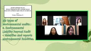 From Environment to Financial Statements: Environmental Audit in the World of Accounting