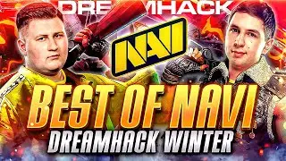 Лучшие Моменты NAVI PUBG на DreamHack Winter Showdown