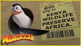 DreamWorks Madagascar en Español | La Transferencia | Dibujos animados para niños