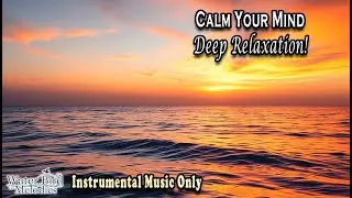 Relax & Focus Fast | Peaceful Instrumental Music for Study, Working, Healing, Sleep, Stress Relief