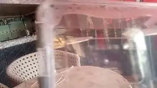 فين حقي
