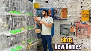 My Birds&rsquo; New Home | Unboxing & Setup of  New Cages 🐦