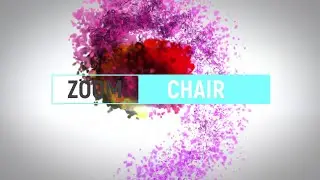 Savya Home Zoom Revolving office chair