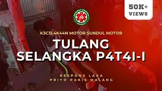 Respons Kecelakaan Motor Sundul Motor | Pakis Malang #8