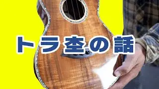 トラ杢（トラ目）の有り無しは音色に影響するのか？ギター、ウクレレ、バイオリンとか