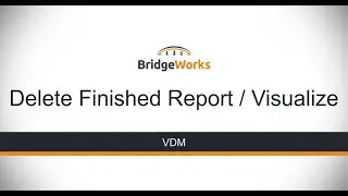 VDM - Delete Finished Report / Visualize