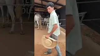 Miguel está querendo fazer o bar de Curral