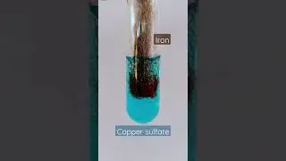 Reaction of Iron (Fe) with Copper Sulphate (CuSO4). #chemistry #cbse #aiims #laboratory #experiment