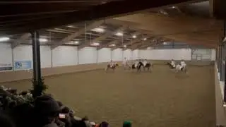 NOEPS Weihnachts-Video-Wettbewerb 2024: Platz 2 Shetty Farm (Kategorie Quadrille)