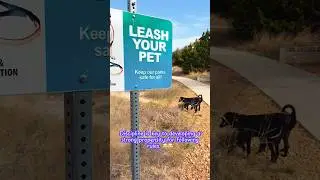 Discipline is key to developing a strong propensity for following rules. 😂😂 #rescuedog