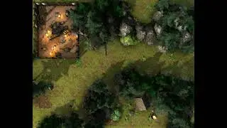 D&D live map -- Forest 1