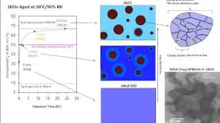 Nanoparticle Dispersions & Drug Nanocyrstals