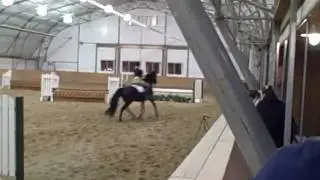 Figaro and Me