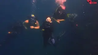 Diving after Taal Volcano erupted.
