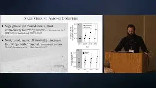 Conifer Management in Context Prioritizing Tree Removal Projects for Sagebrush