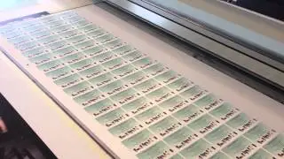 COLIPRINT IMPRESSION CARTES DE VISITES PVC