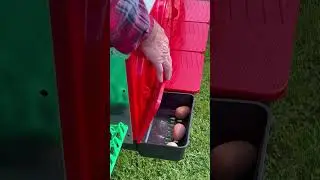Poulailler mobile Copele 30 poules