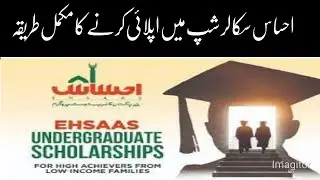 How to apply in Ehsas scholarship program 2021| scholarship for student from ehsas program