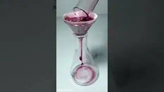 How to make Red Litmus paper at&nbsp;home | DIY Red Litmus | Part 1