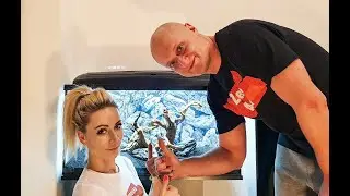 Moje pierwsze Akwarium odc. 2/7 - Aranżacja, Tło , Korzenie i Skały (RU - субтитры - subtitles)