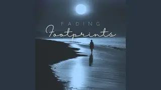 Echoes in the Moonlight