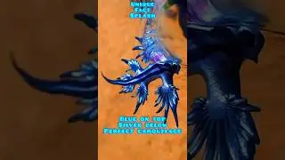This Tiny Dragon Steals Jellyfish Venom as Its Own Weapon #shorts