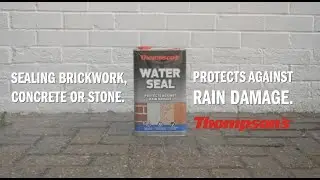 Thompson's Water Seal