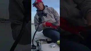 Abbiamo forato il tubolare del gommone 🤬🤬🤬