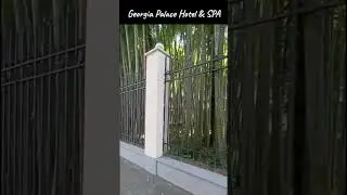 Georgia Palace Hotel & SPA в Кобулети (Грузия) 14.07.2025