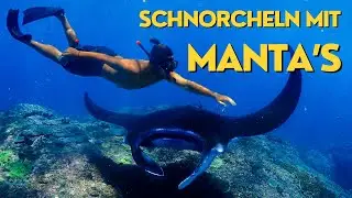 Nusa lembongan - Schnorcheln mit Manta's