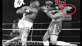 BEST BOXERS in the history of Boxing TOP 10(Every weight class) ||Professional Boxing records