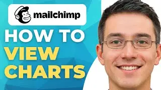 New! How To View Charts On Mailchimp In 2025!