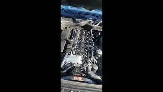 Mercedes om648 build