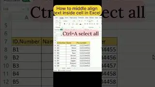 How to Middle align Text inside cell in Excel 🤯|Excel trick and tips #shorts #excel #skills #sheet