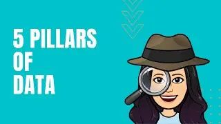 5 Data Pillars You Should Know!