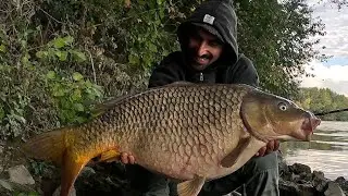 Sessione magica in Tevere! Urban Carpfishing...