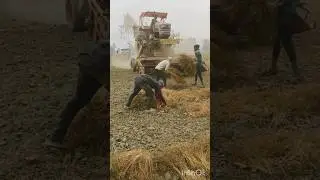 🌾🌾#new #Punjabi #harvester🌾🌾🚜🚜🚜🚜🚜 beautiful❤❤