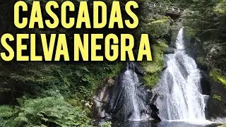 ✈️ SELVA NEGRA 🌲​(Cataratas y Bosque de Triberg) Alemania ⭐️