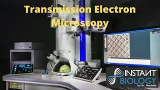 Transmission Electron Microscope