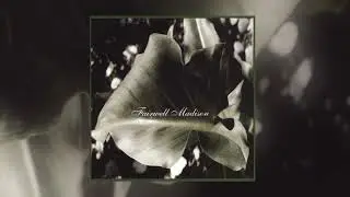 Fairwell Madison - Memory Box (2003) Album