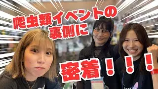 【密着！】爬虫類イベント出展の裏側！