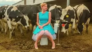 Toilet Care Marketers Turn to Potty Humor