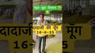 Mung ka bhav #live #farming #mandibhav #agriculture #shorts #ytshorts @Karelimandi